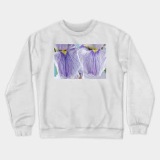 Iris ensata  'Oriental Bouquet'  Japanese water Iris  Japanese flag Crewneck Sweatshirt